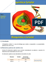 Aula de Bioquimica Celular