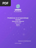 Problemas en El Aprendizaje Escolar: Educación Especial