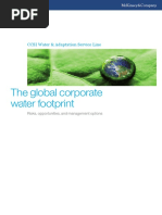 Report - Large - Water - Users McKinsey