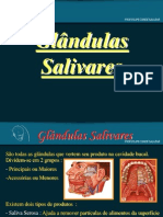 Anatomia Glândulas Salivares 1