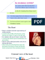 Circulatory System (The Heart) 2