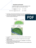 Chloroplasts and Chlorophyll T5-3