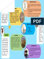 Infografía de La Civilización Antigua China