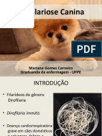 Dirofilariosecanina 210331003057