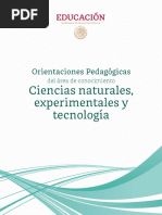 Orientaciones Pedagógicas - CNEyT