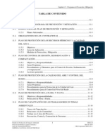 B74) Capitulo 11 - Programa de Prevencion y Mitigacion