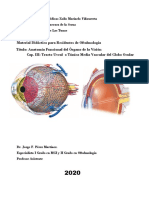 Anatomia - Túnica Media o Vascular o Úvea