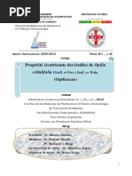 Propriété Cicatrisante Des Feuilles de Opilia: Celtidifolia (