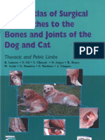 Color Atlas of Surgical Approaches To The Bones and Joints of The Dog and Cat