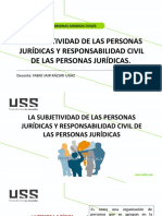 La Subjetividad de Las Personas Juridicas