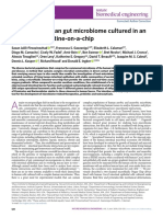 A Complex Human Gut Microbiome Cultured in An Anaerobic Intestine-On-A-Chip