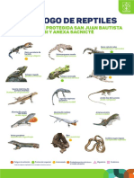 CATALOGO DE REPTILES de TABI