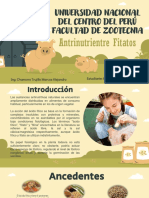 Exposicion - Fitatos - Formulacion