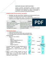 Tema 1. Morfología, Fisiología y Genética Bacteriana