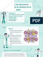 2 Laboratorio Enzimas