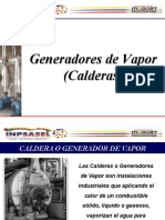 Caldera o Generador de Vapor (Sistemas de Medición, Control y Seguridad) - Nueva