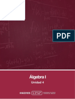 Unidad 4 - Algebra I