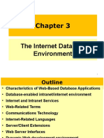 Ch3 - The Internet Database Environment