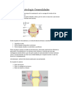 Artrología Generalidades