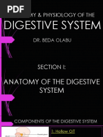 15b - Digestive System Anatomy and Physiology Series