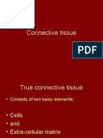 Connective Tissue