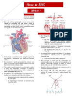 Conceitos Iniciais Sobre ECG