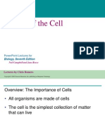 06 - Cell Text