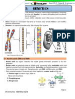 Chapter Five Genetics