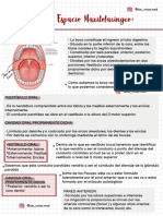 Boca y Espacio Maxilofaríngeo