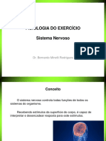 Documento de