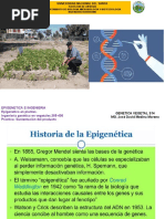 S15 EPIGenetica INGENIERIA VEGETAL