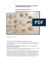 Fitopatología - Tarea Fusarium