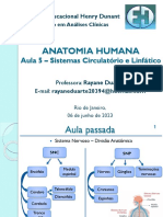 Aula 5 - Anatomia Sábado - 230809 - 090259