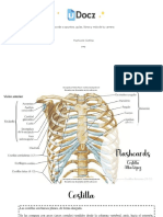 Flash Cards Anatomía