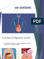 Digestive System