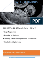 Ecografia 11 A 14 semanas-CASTILLO