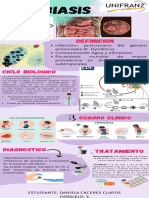 Amebiasis INFOGRAFIA