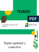 Tejidos