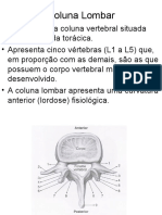 Aula de Coluna Lombar e Lombo-Sacra