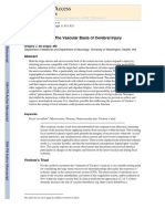 Triad Virchow Basic of Cerebral Injury