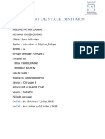 Rapport de Stage