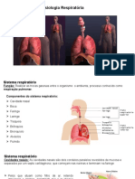 Sistema Respiratório