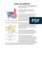 Fisiologia Tercera Solemne