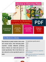 Sexual Reproduction in Flowering Plants