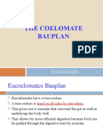 Lecture 10-Coelomate Bauplan