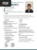 CV Rodrigo Mustre Olvera - 5