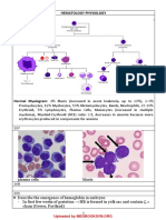 UW Notes - 10 - Hematology & Oncology Arranged