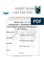 Microbiologia de Alimentos: Practica Nº 13-Aislamiento e Identificacion de Clostridium Botulinum Productora de Toxina