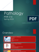 Pathology (1,2,3) - AFR Desktop