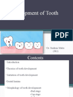 Sushma Development of Tooth 2nd Seminar